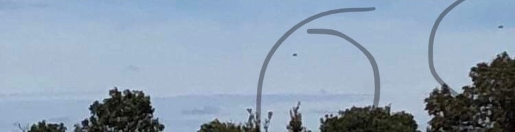 Pale sky above the tree line with hand-drawn circles marking small grey dots.