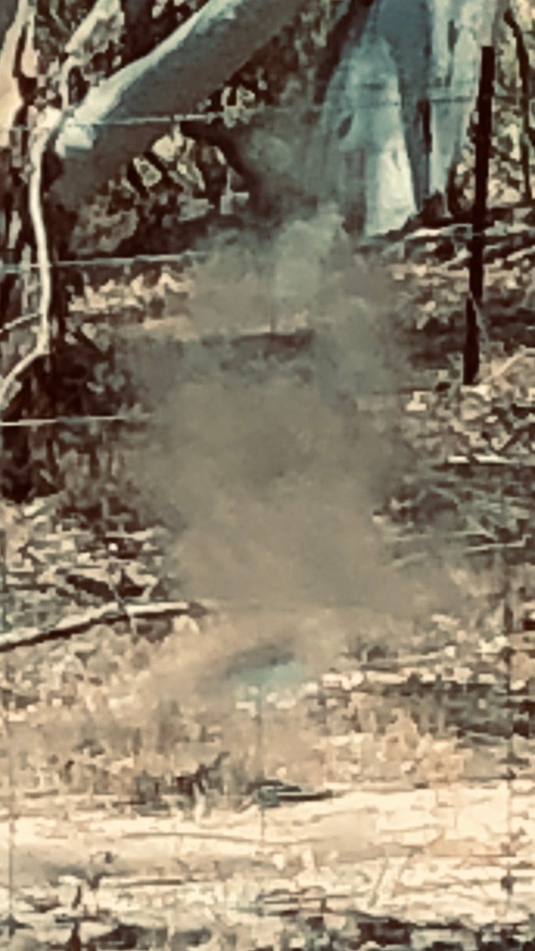Grainy wooded scene with a wispy vertical plume of grey-brown haze in the centre.